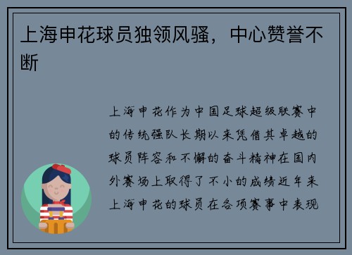 上海申花球员独领风骚，中心赞誉不断